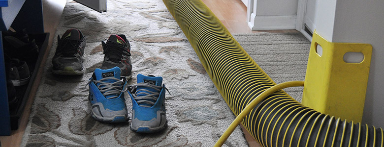 a yellow air duct cleaning hose running through the house.