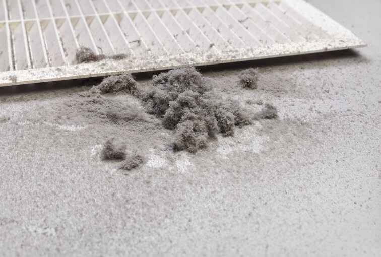 Got Dirty Ducts? 4 Disgusting Thing You Didn’t Know Were In There