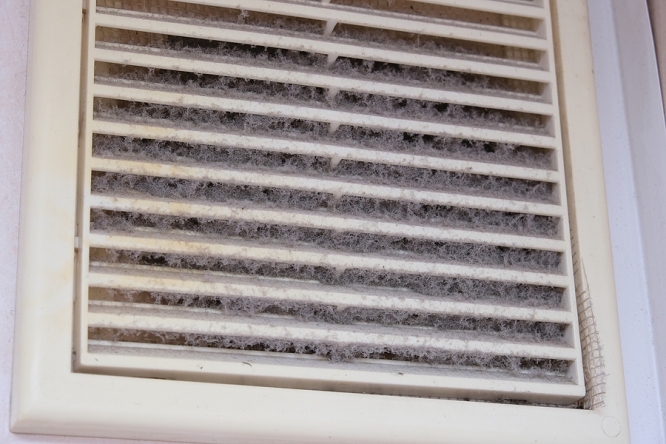 3 Sneaky Signs There May Be Mold in Your HVAC System