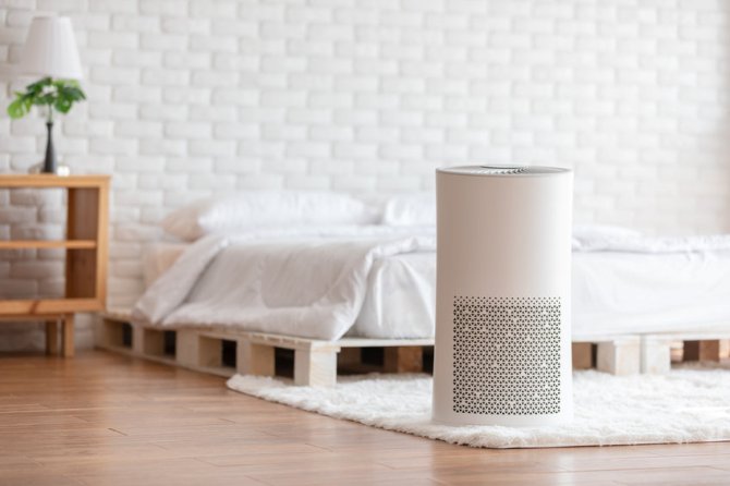 Air Purification Systems: Which Type Is Best for Your Home?