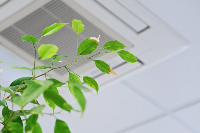Want to Improve Your Indoor Air Quality? Avoid These 3 Things