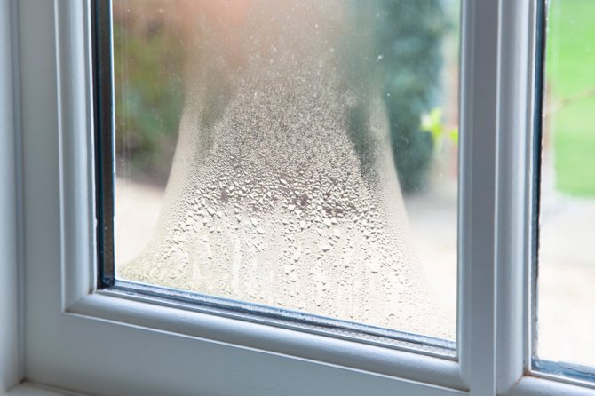 How Indoor Humidity Can Be Damaging and What You Do About It
