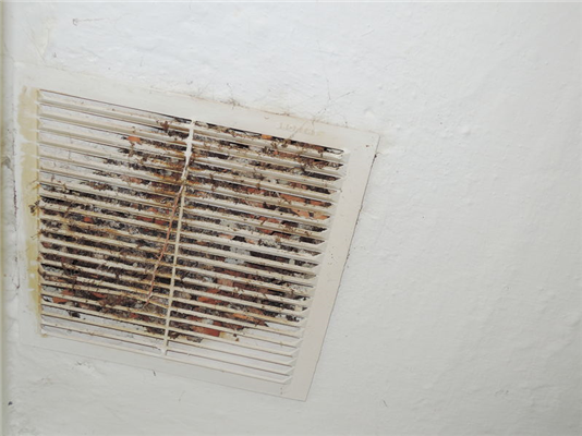 5 Hazardous Items That Build Up Inside Your Ductwork